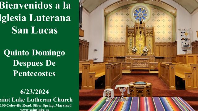 Quinto Domingo Despues De Pentecostes - 6.23.24