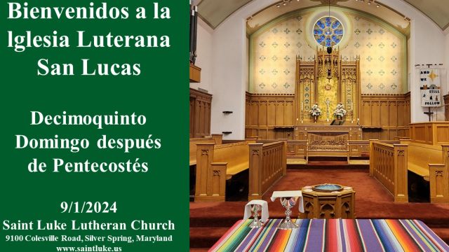 Decimoquinto Domingo después de Pentecostés - 9.1.24