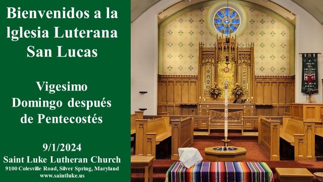 Vegesimo Domingo despues de Pentecostes- 10.06.24