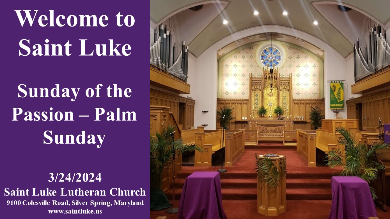 Sunday of the Passion - Palm Sunday - 3.24.24 | 11:15