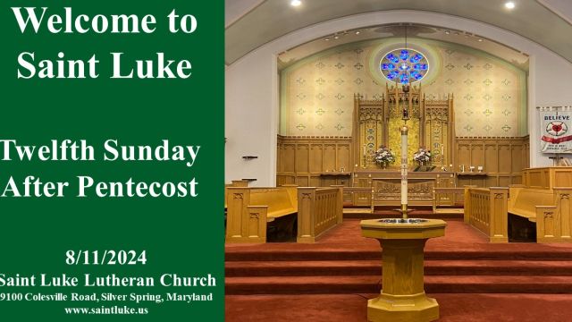 Twelfth Sunday after Pentecost - 8.11.24